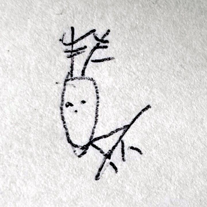 お手入れ係 masa0a のプロフィール画像